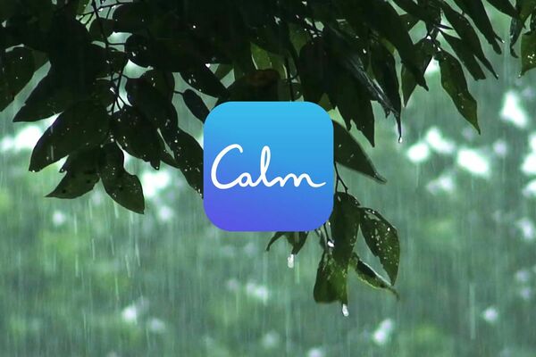 Calm 2 Rain On Leaves